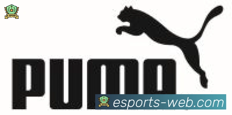 DOTA竞猜合作伙伴